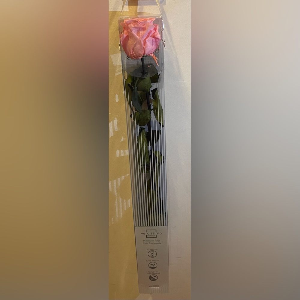 VERDISSIMO PRESERVED ROSE